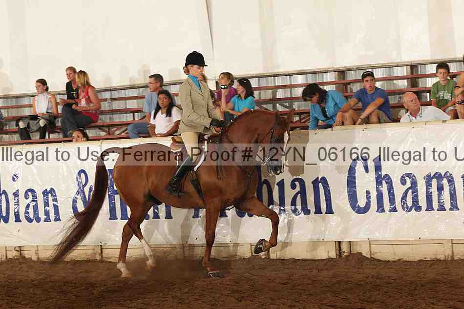 Proof 12yn_06166