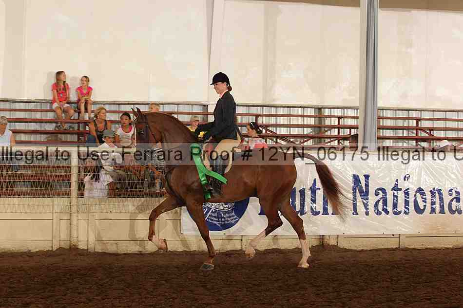 Proof 12yn_06175