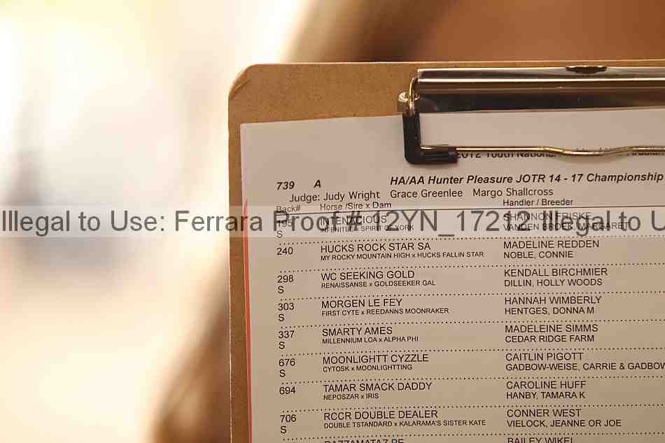 Proof 12yn_17212