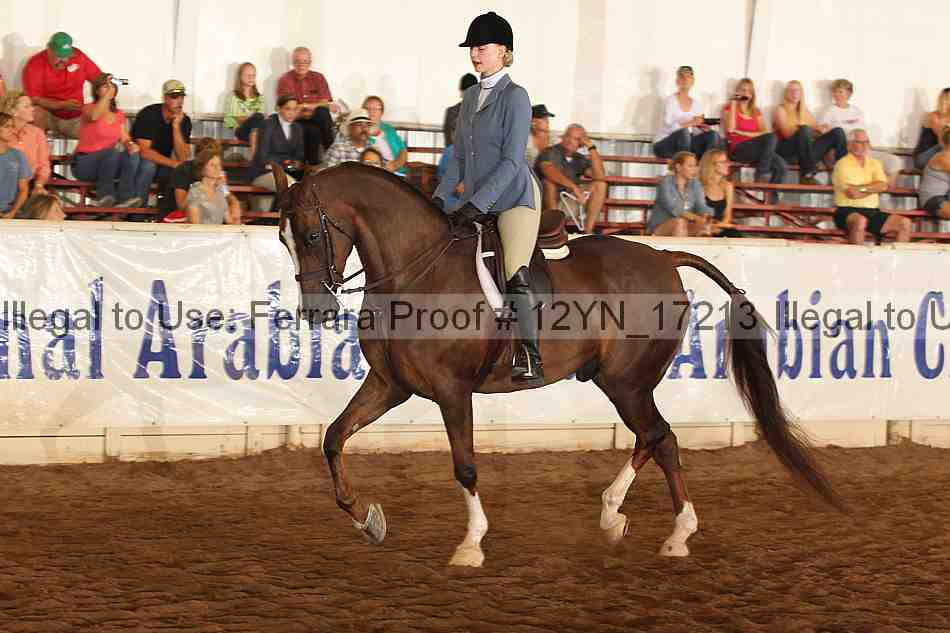 Proof 12yn_17213