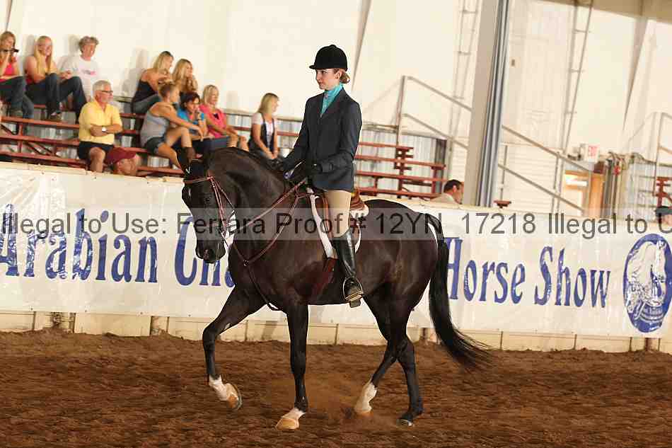 Proof 12yn_17218
