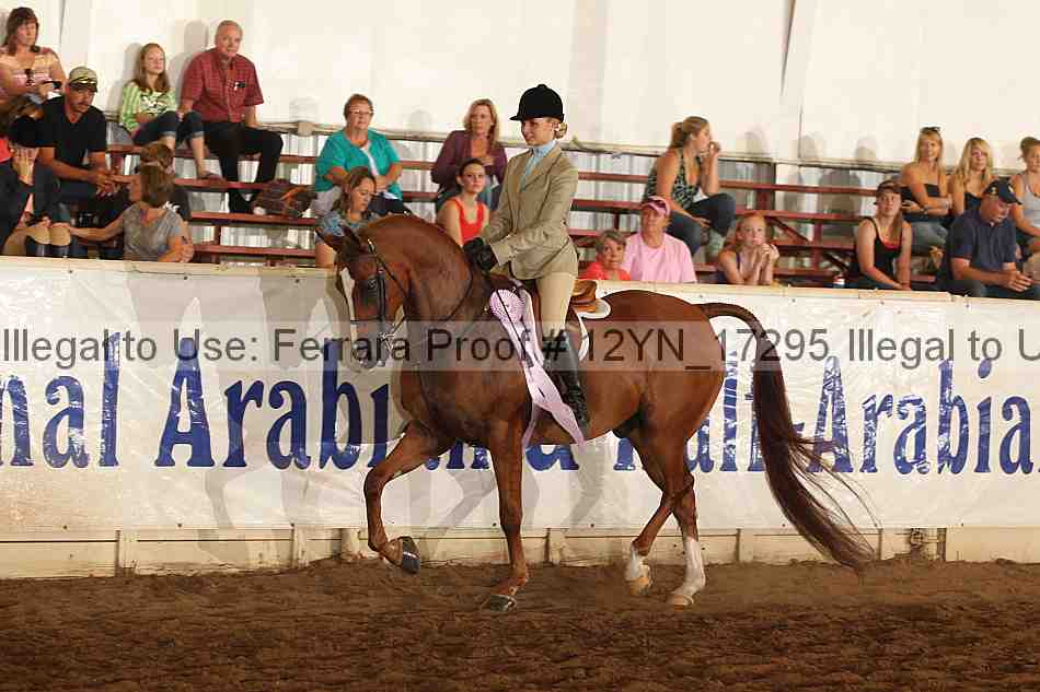 Proof 12yn_17295