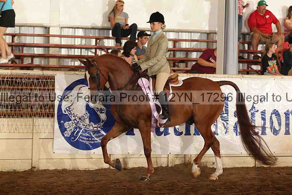 Proof 12yn_17296