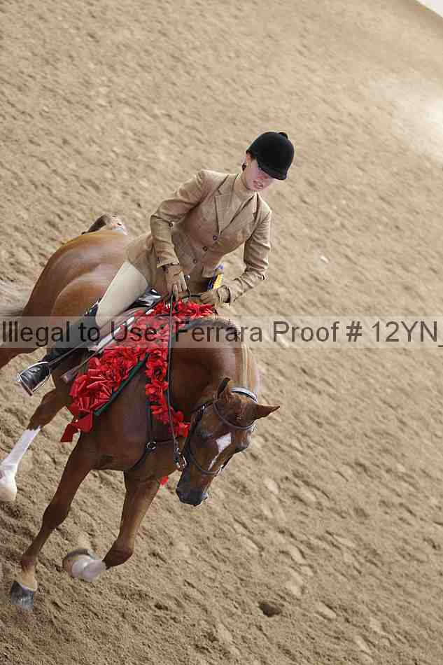 Proof 12yn_25831