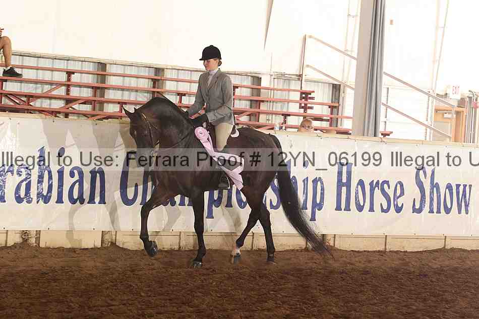 Proof 12yn_06199