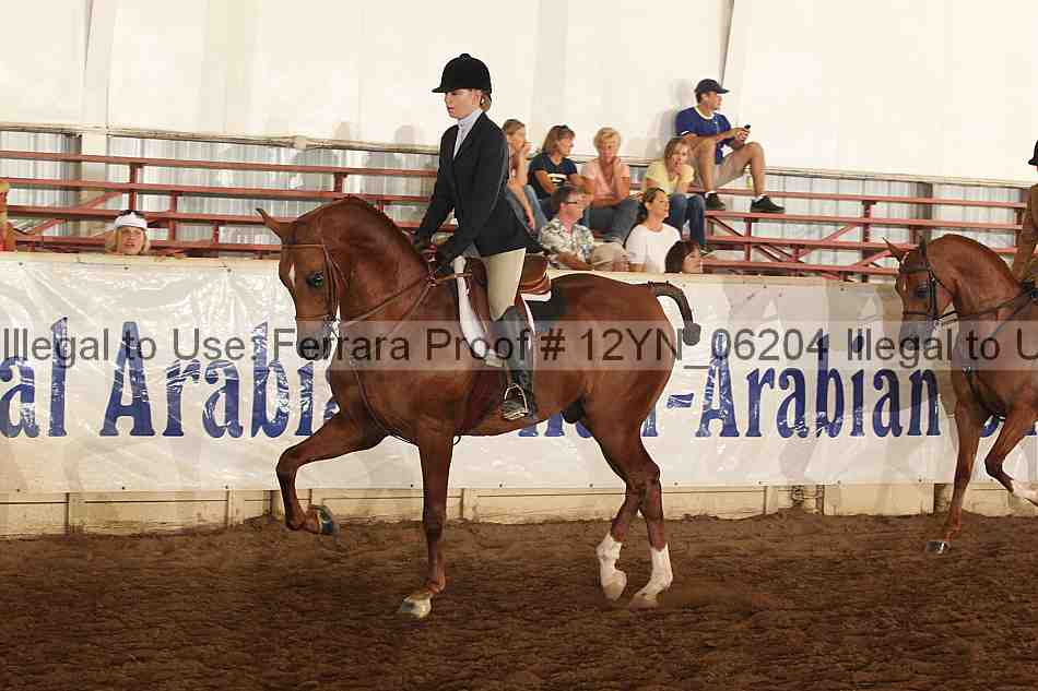 Proof 12yn_06204