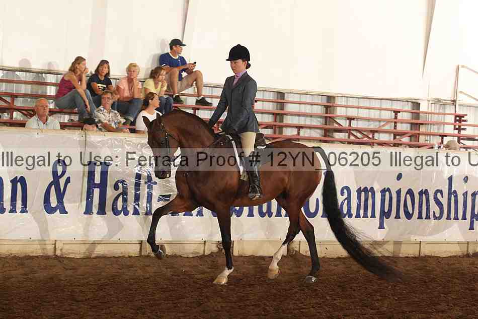 Proof 12yn_06205