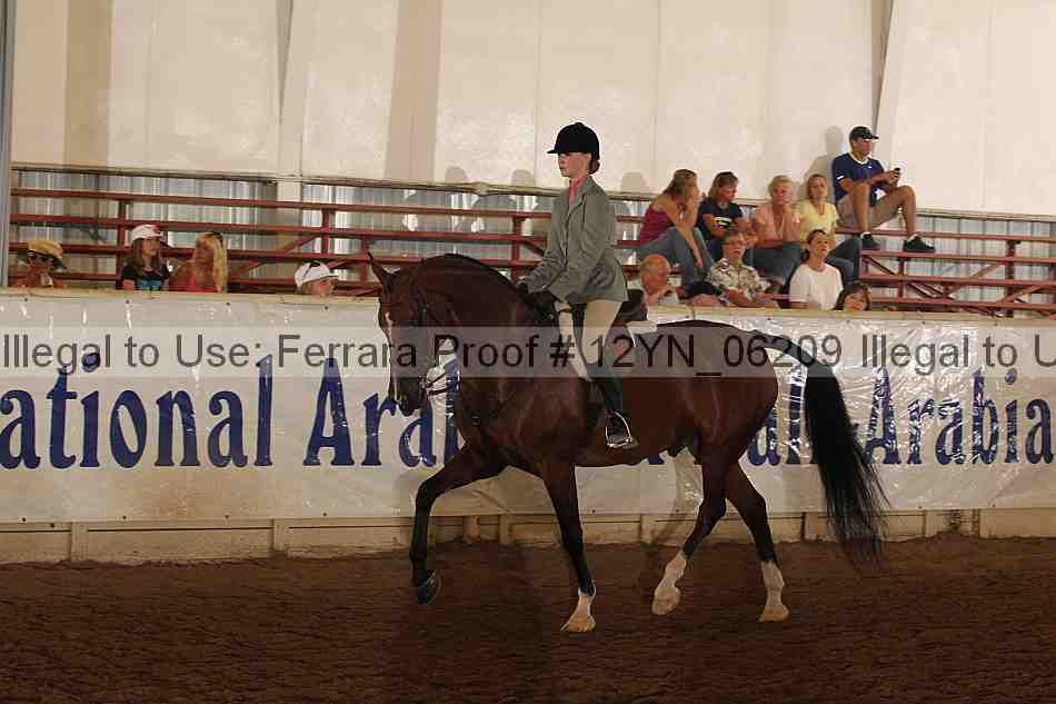 Proof 12yn_06209
