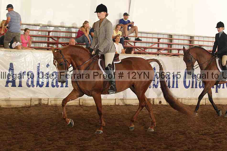 Proof 12yn_06215