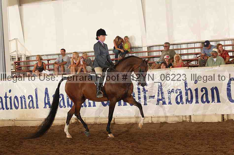 Proof 12yn_06223