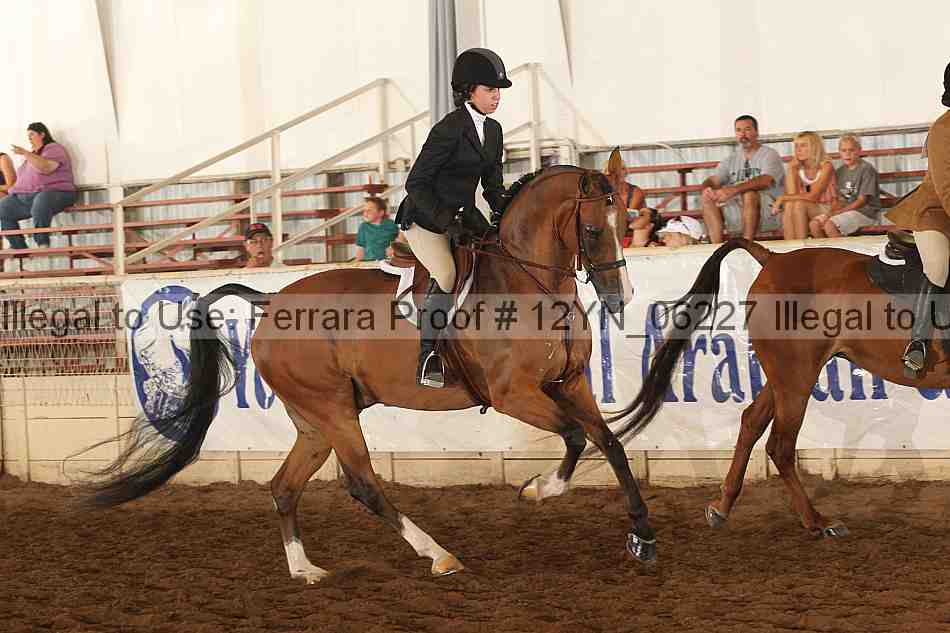 Proof 12yn_06227