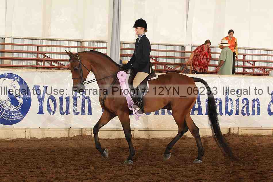 Proof 12yn_06233