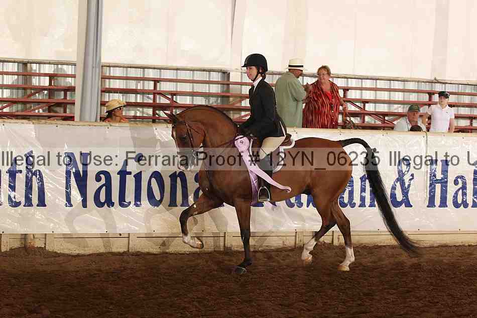 Proof 12yn_06235