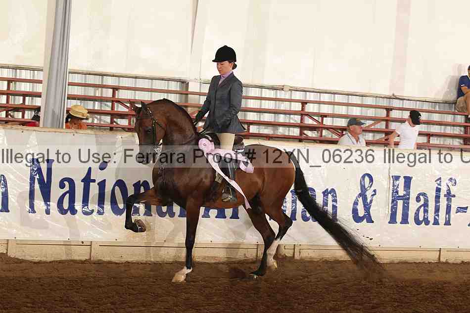 Proof 12yn_06236
