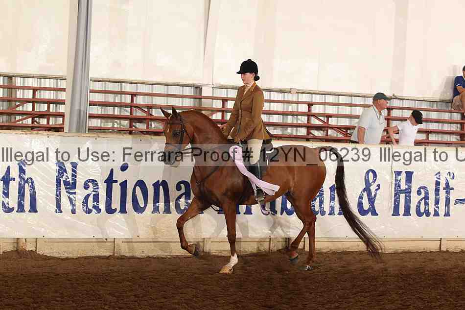Proof 12yn_06239