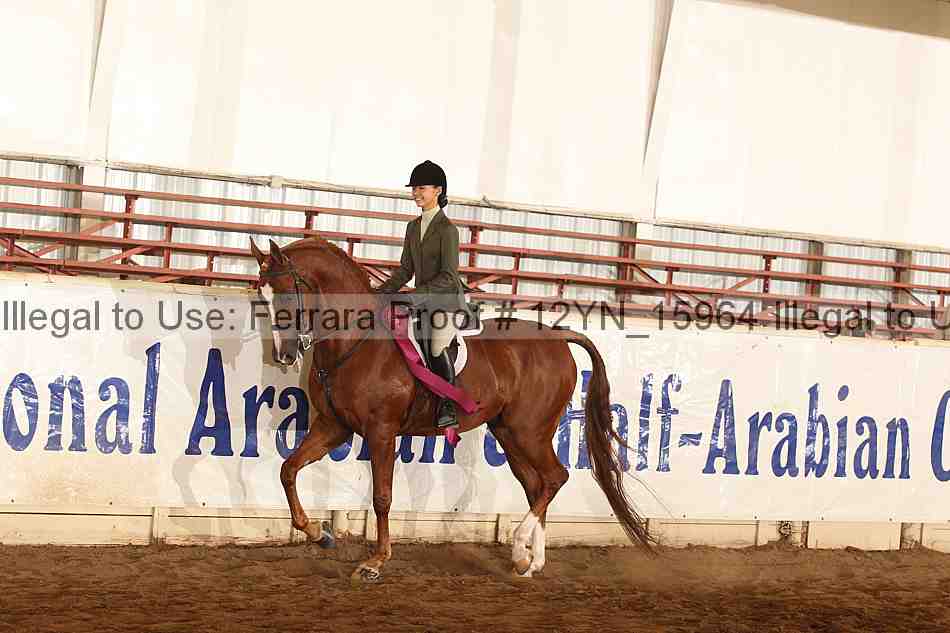 Proof 12yn_15964