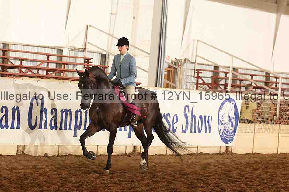 Proof 12yn_15965
