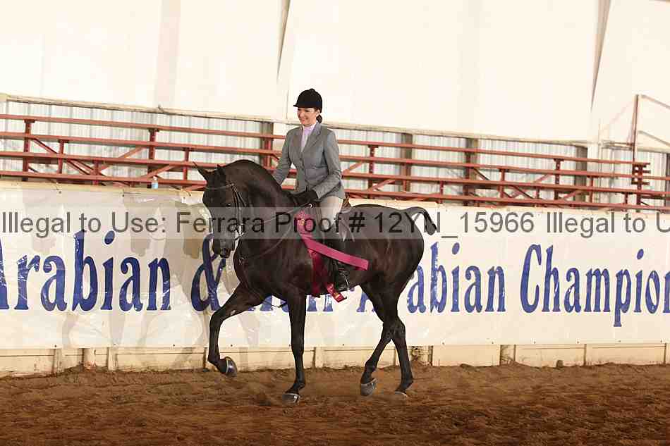 Proof 12yn_15966