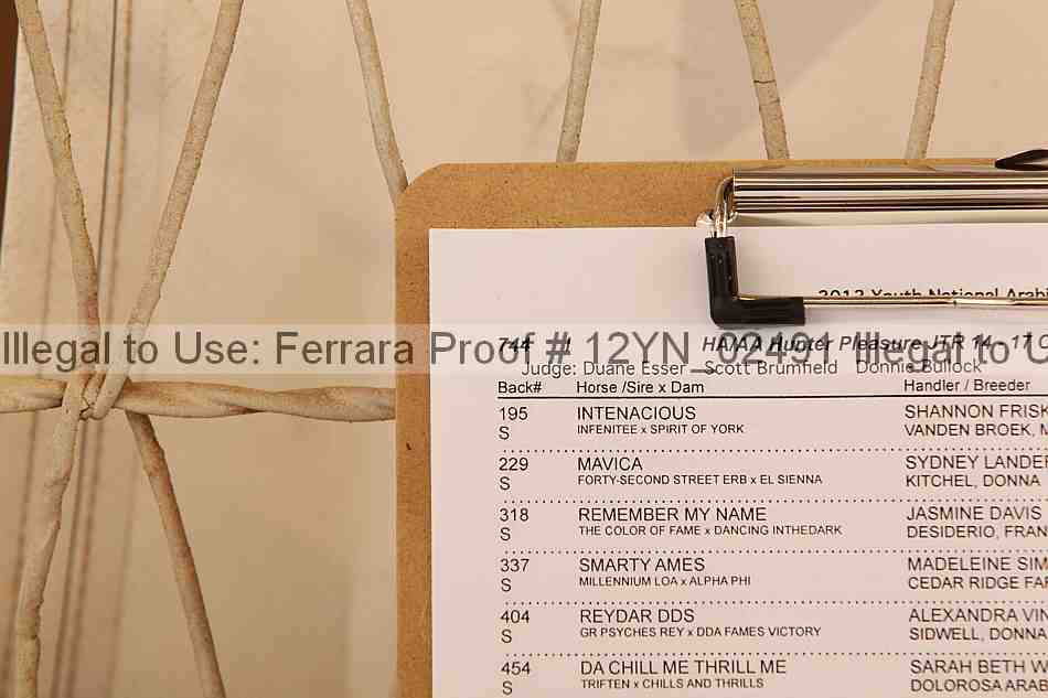 Proof 12yn_02491
