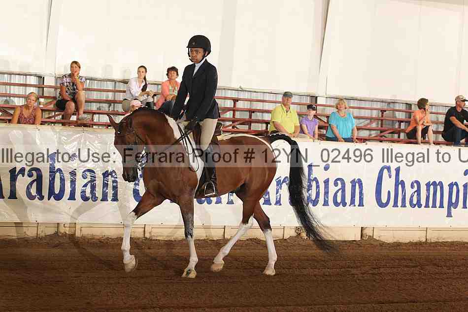Proof 12yn_02496
