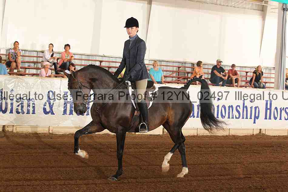 Proof 12yn_02497
