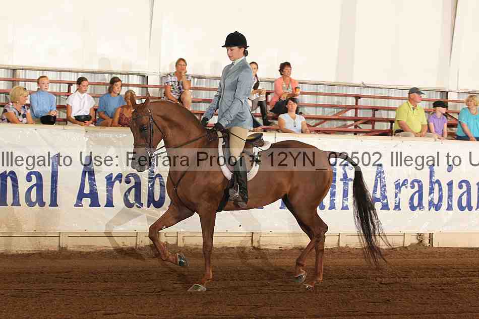 Proof 12yn_02502