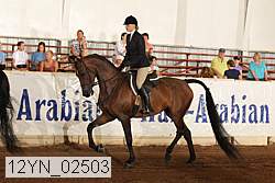 12yn_02503 proof