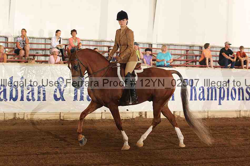 Proof 12yn_02507
