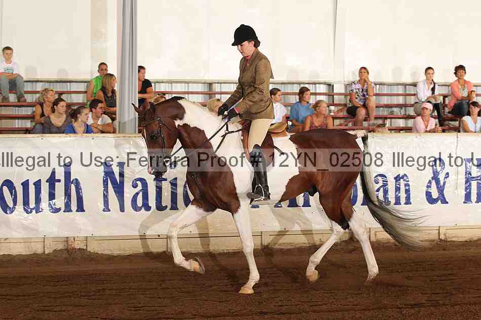 Proof 12yn_02508