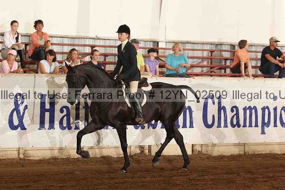 Proof 12yn_02509