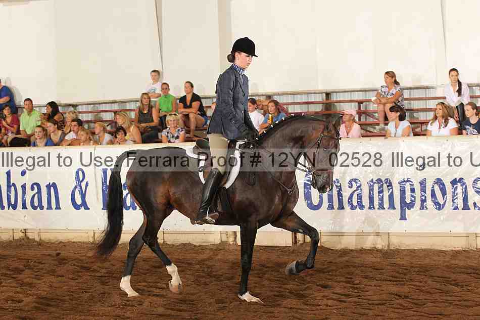 Proof 12yn_02528