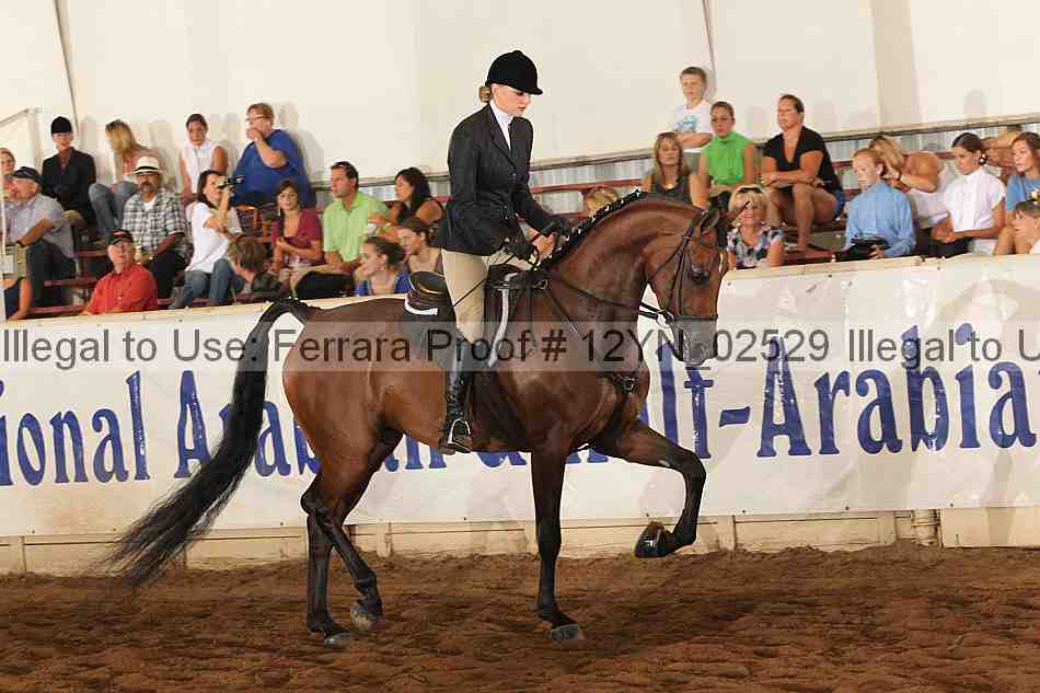 Proof 12yn_02529