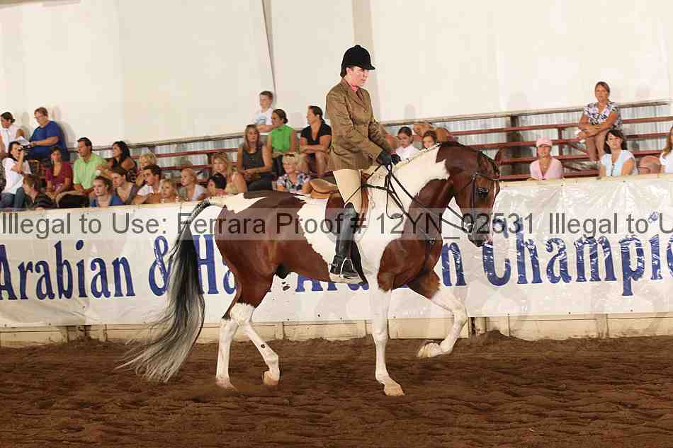 Proof 12yn_02531