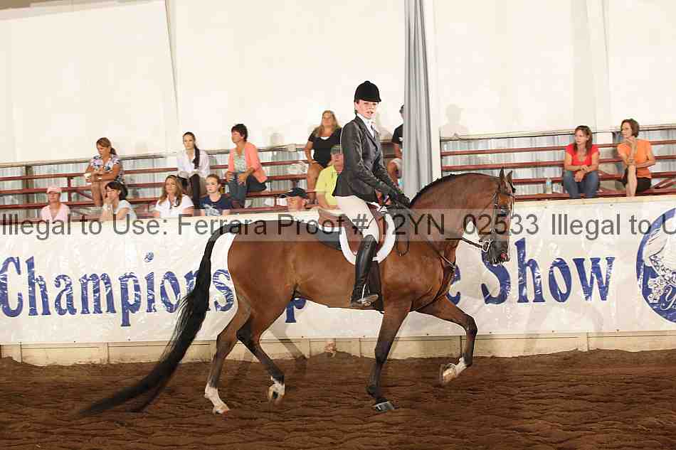 Proof 12yn_02533