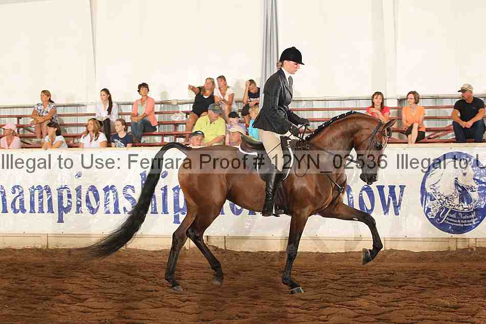 Proof 12yn_02536