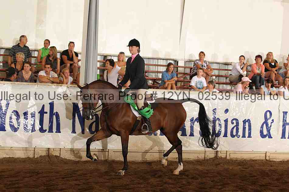 Proof 12yn_02539