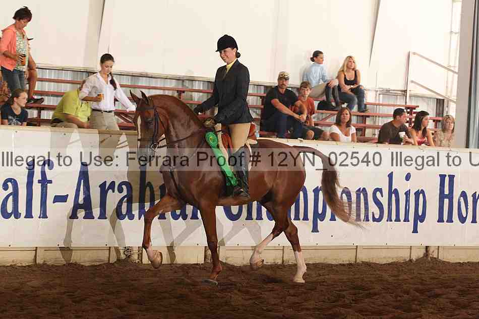 Proof 12yn_02540