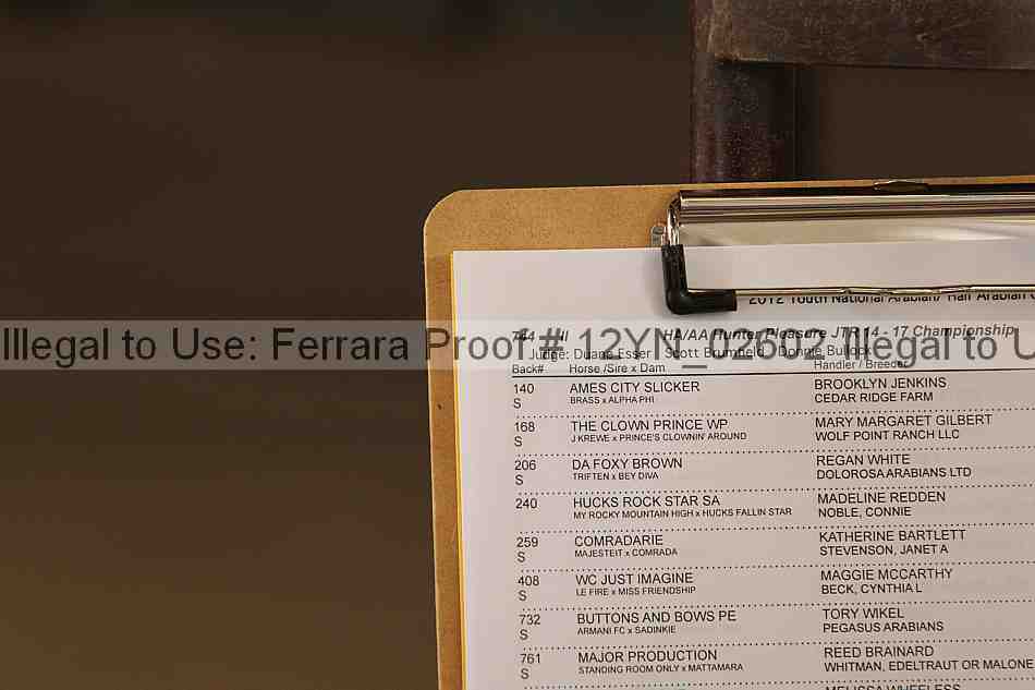 Proof 12yn_02602
