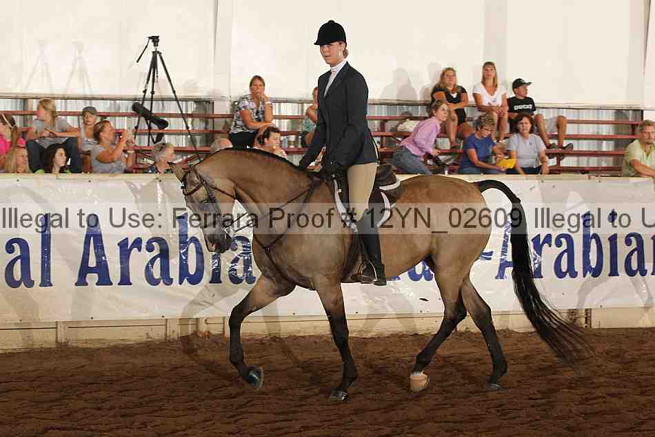 Proof 12yn_02609