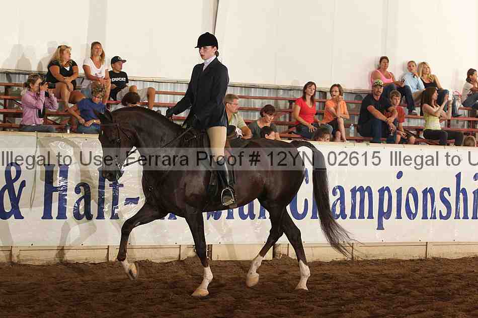 Proof 12yn_02615
