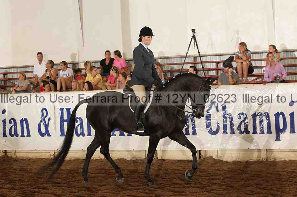 Proof 12yn_02623