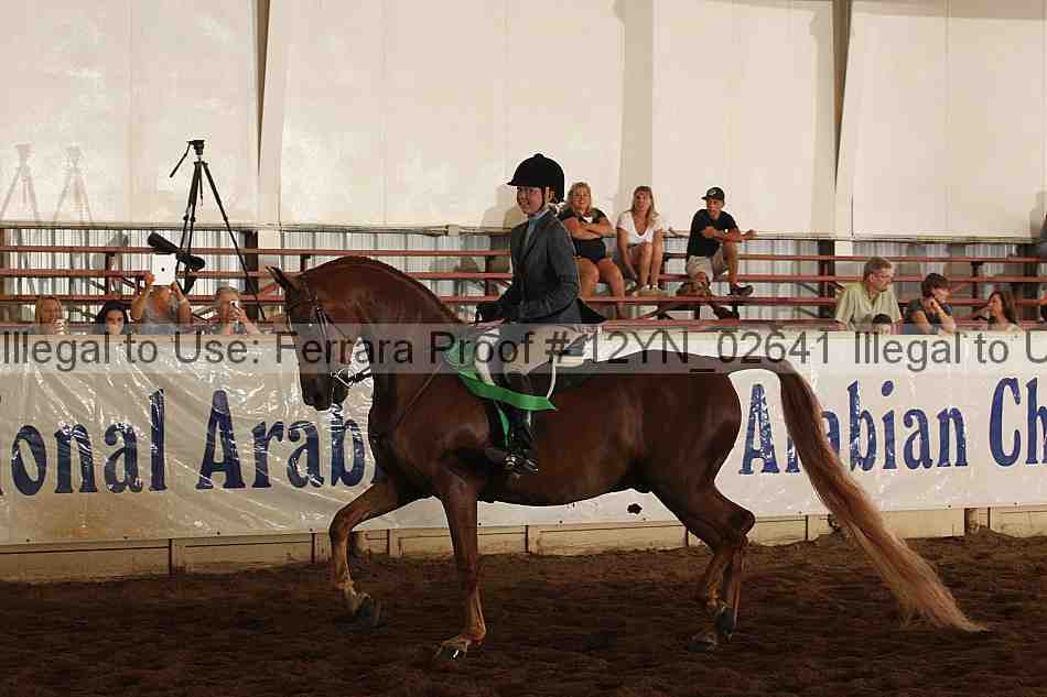 Proof 12yn_02641