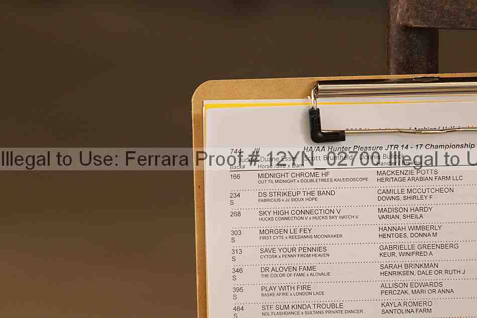 Proof 12yn_02700