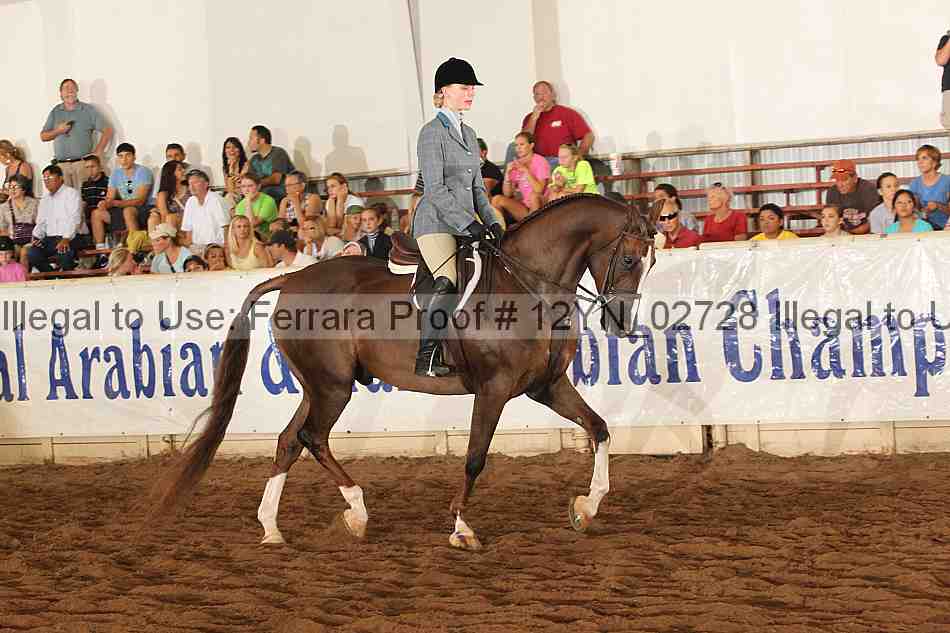 Proof 12yn_02728