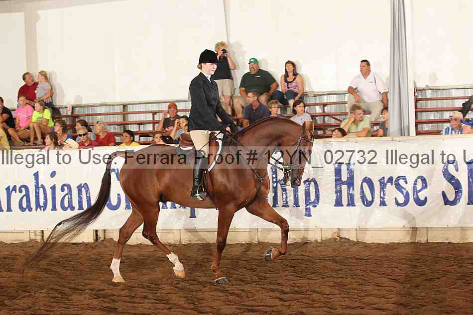 Proof 12yn_02732