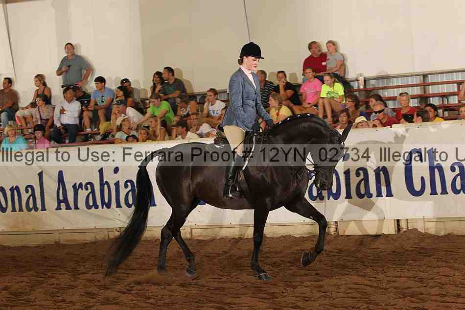 Proof 12yn_02734