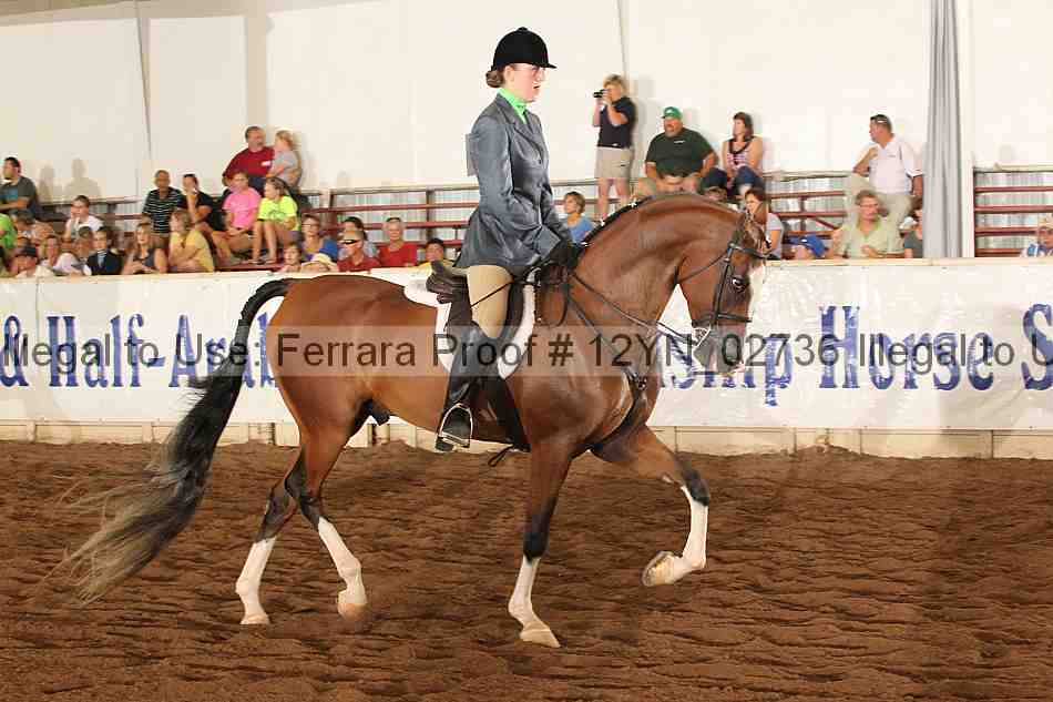 Proof 12yn_02736