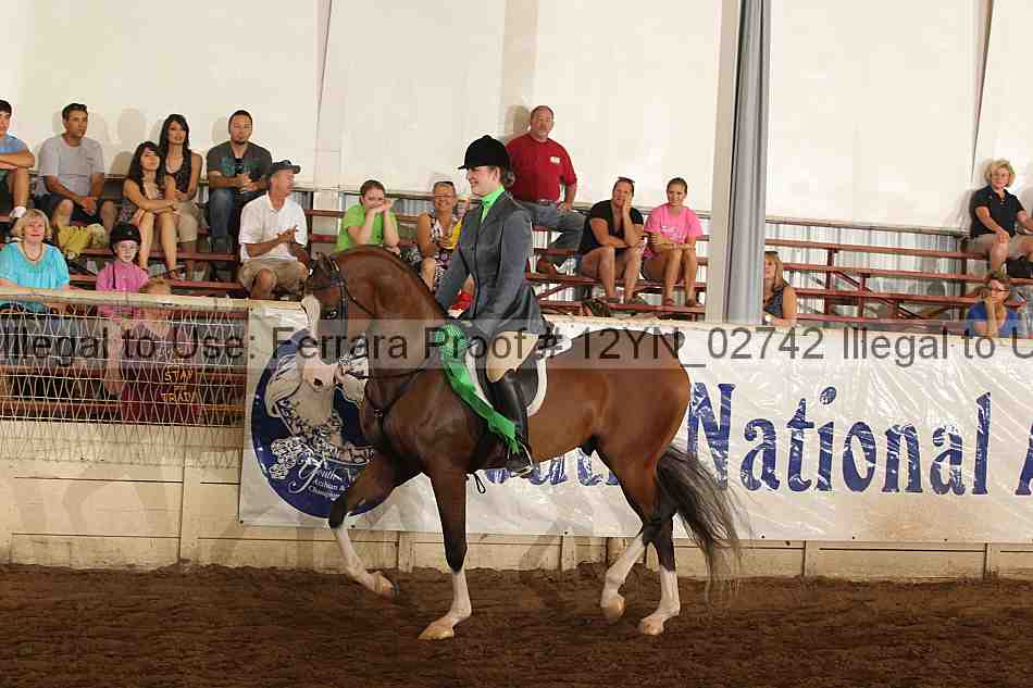 Proof 12yn_02742