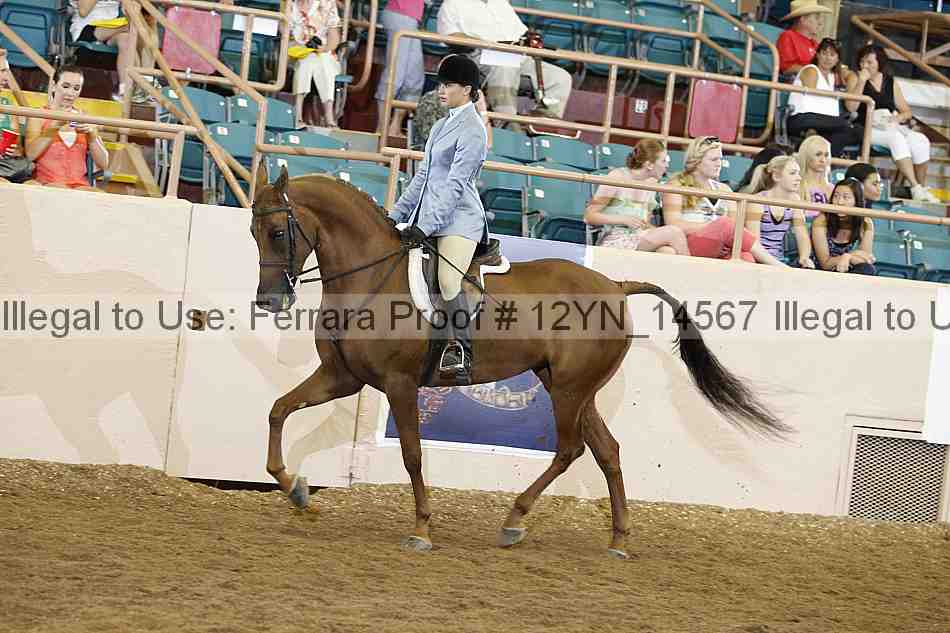 Proof 12yn_14567
