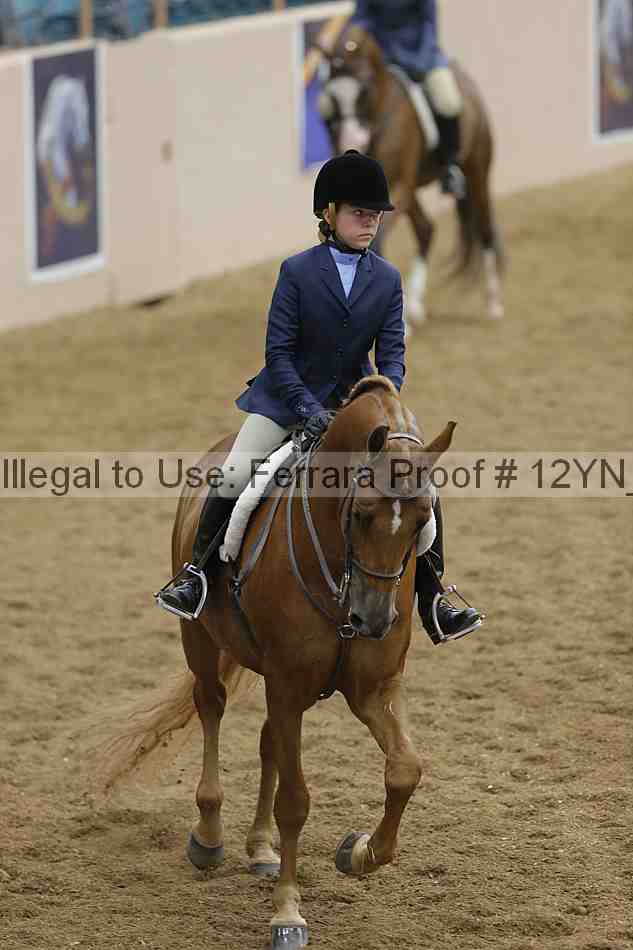 Proof 12yn_14582